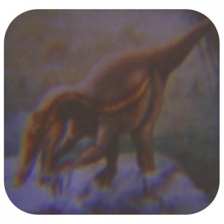 Latarka Projektor 24 Slajdy Dinozaury Zwierzęta-56323