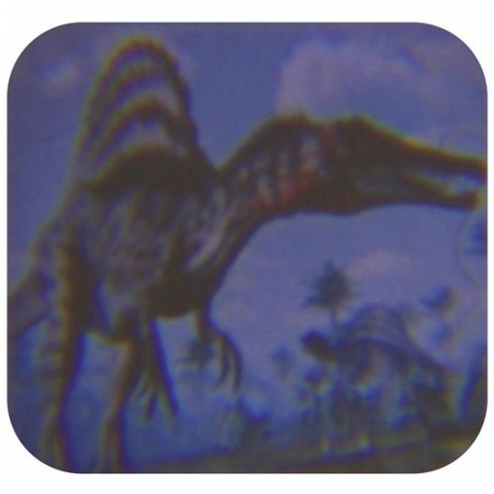 Latarka Projektor 24 Slajdy Dinozaury Zwierzęta-56326
