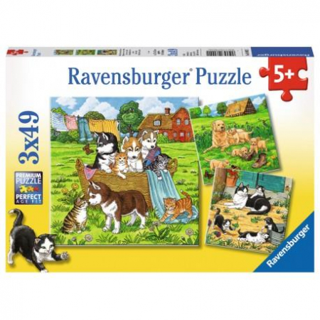 Ravensburger Puzzle 3x49 Słodkie Pieski i Kotki