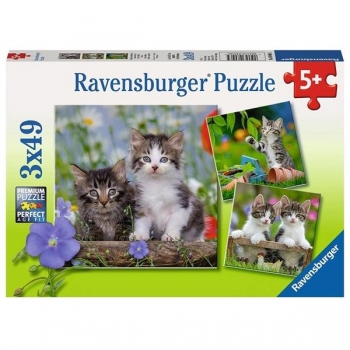Ravensburger Puzzle 3x49 Kocięta 080465