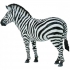 Collecta Figurka Zebra Pospolita 88830-60454