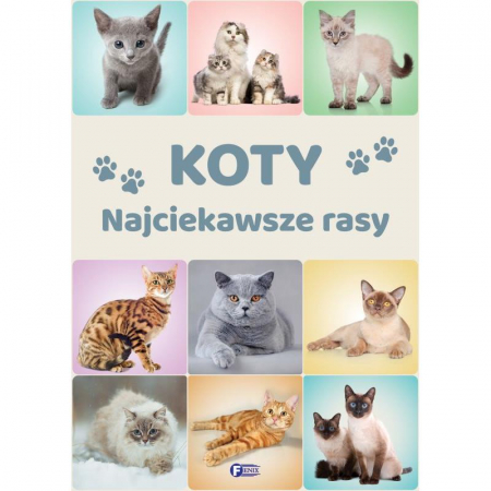 Koty Najciekawsze Rasy Książka Poradnik Dla Dzieci